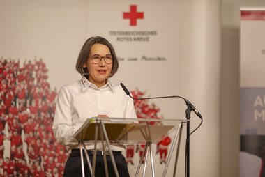 Martina Schloffer, Internationale Zusammenarbeit, Rotes Kreuz