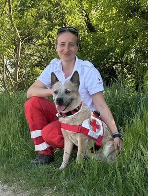 Rotes Kreuz, Marchfeld, Suchhunde, NÖ RK, Rettungshund
