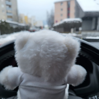 Bärli bei winterlichen Fahrverhältnissen am Steuer.