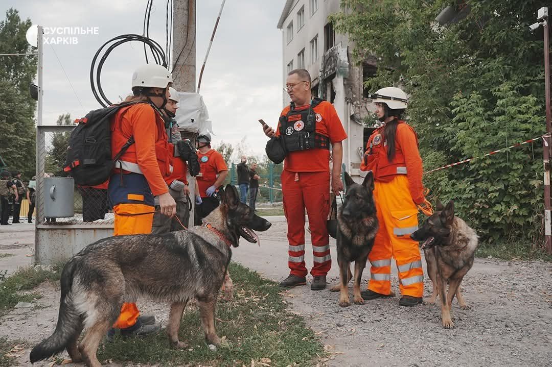 Evakuierung mit Hunden in Charkiw nach Drohnenangriff