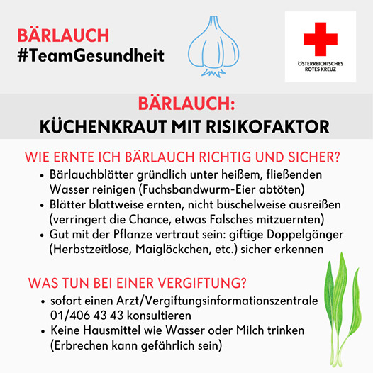 Tipp Bärlauch