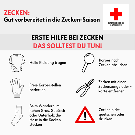 Zecken Tipp