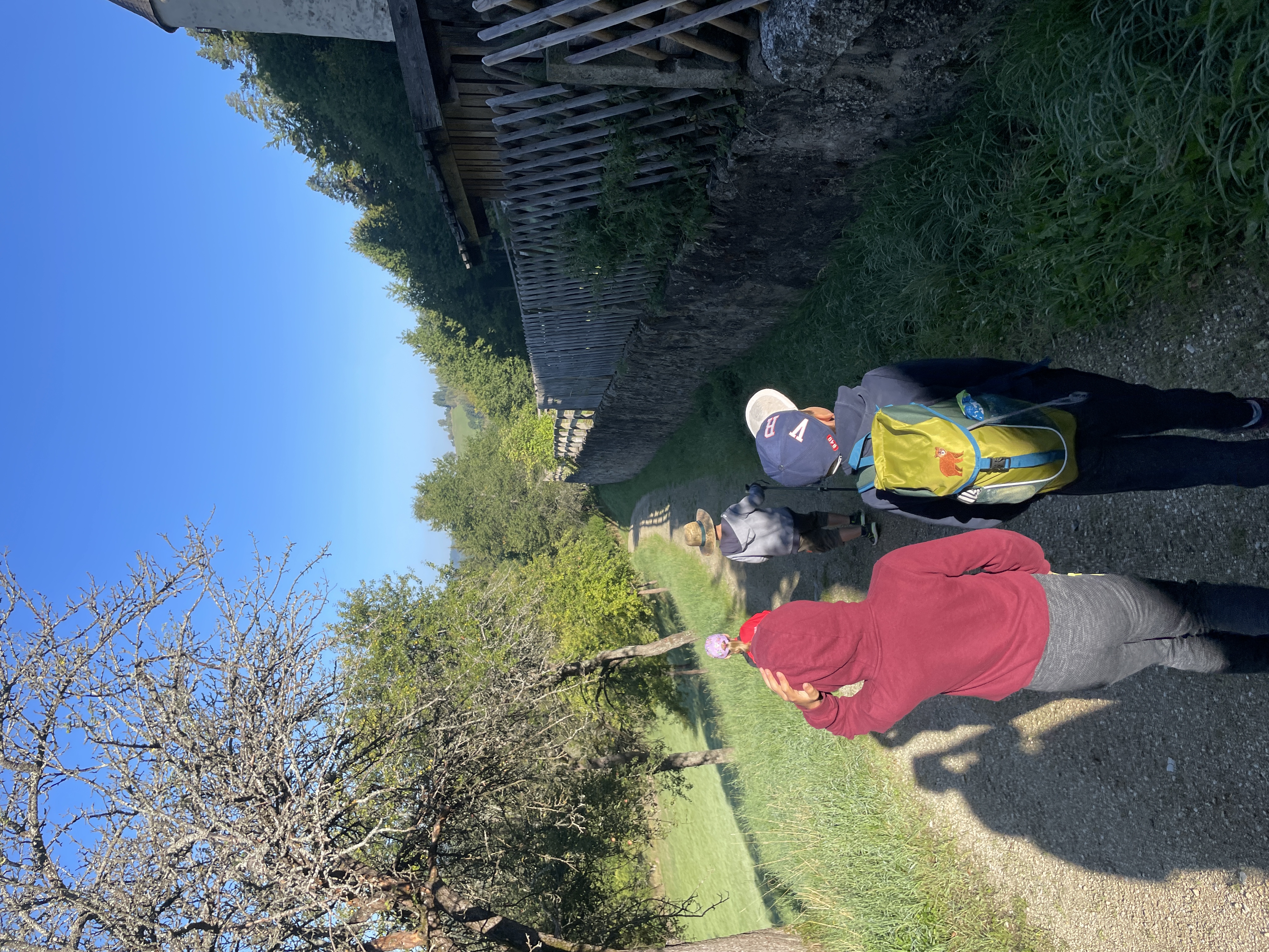 Wanderung Apfelbaum