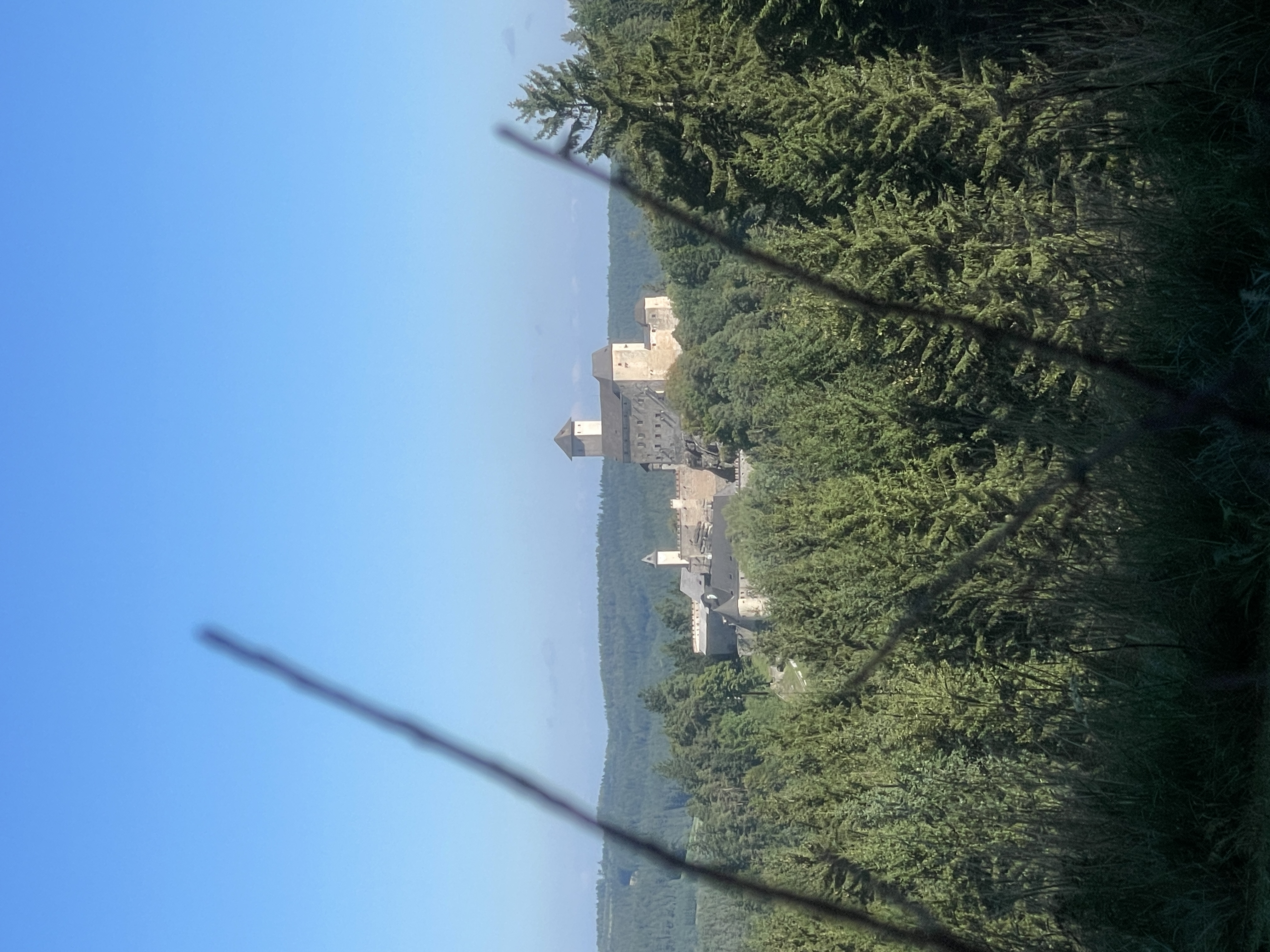 Burg in Ferne