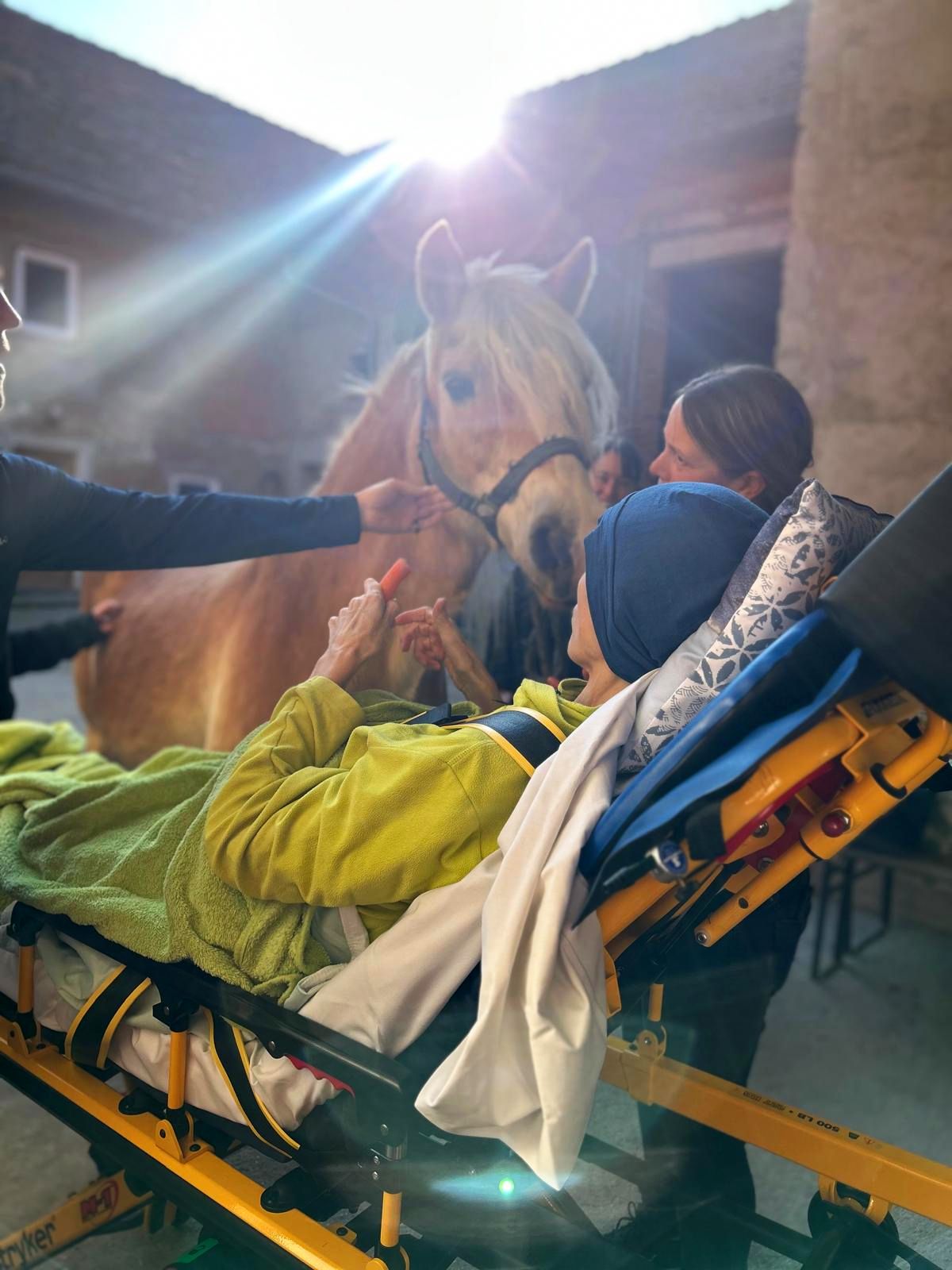 das Pferd wird ein letztes Mal liebevoll mit einer Karotte gefüttert