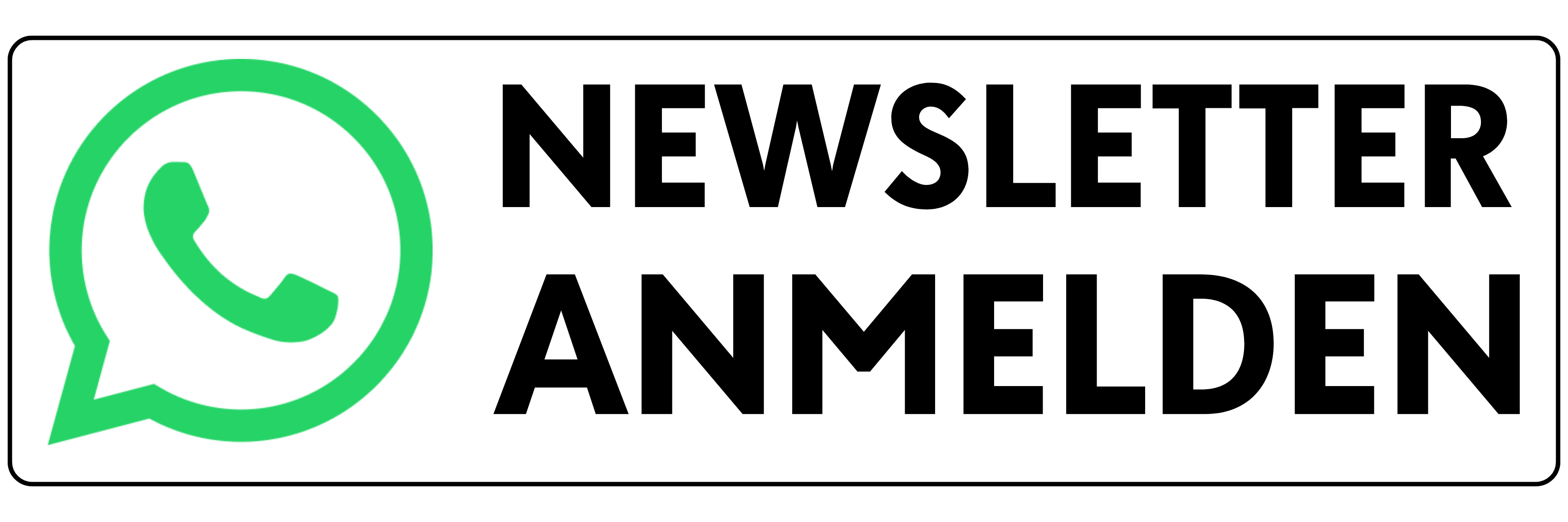 WhatsApp Newsletter